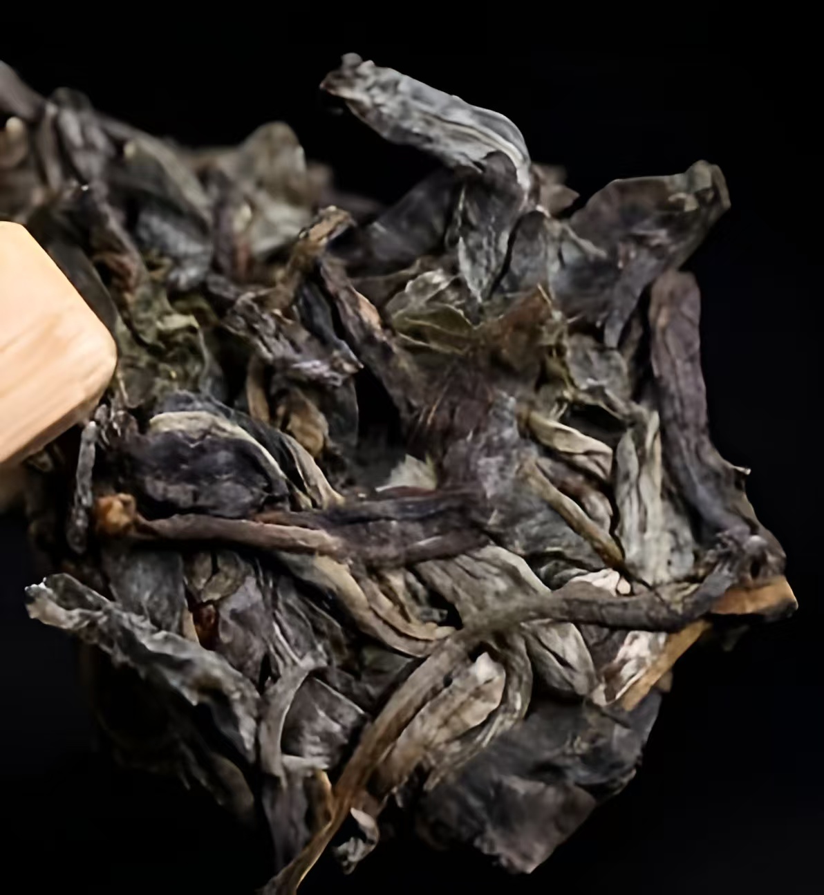 Premium Puerh Tea Palace Ancient Tree